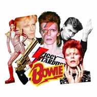 David Bowie Vinyl Sticker - Ziggy Stardust Retro Rock Music Decal for Laptop, Water Bottle, Guitar