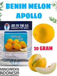 Ready || Benih Melon Apollo 20Gram Biji Melon Golden Emas Kuning Known