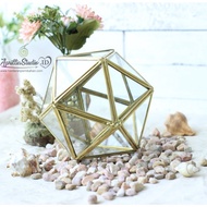 JEWELRY BOX | Ringbox Terrarium Ball Dimension UK 13x13x13 cm