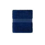 Aero Towel 30x60 Inches Blue