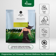 Pregnanttea 1st Trimester | Women Wellness Tea X Benourish - Ginger, Lemongrass, Butterfly Pea, Mint