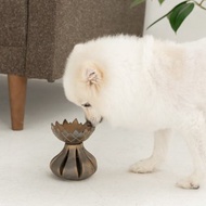 金色鬱金香寵物碗碟架小型犬中型犬貓陶器