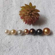 Mutiara Air Laut Asli | Mutiara Lombok | Mutiara Air Laut Grade A