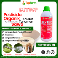 Obat Semprot Buah Sawo / Obat Hama Tanaman Sawo / Obat Daun Sawo / Obat Semut Pada Tanaman Buah Sawo