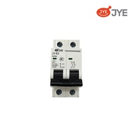 Aptomat MCB JY-63 2P- 6A, 10A, 16A, 20A, 25A, 32A