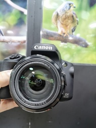 Canon SX70 HS SX-70 HS 極新凈 長炮變焦  21-1365MM