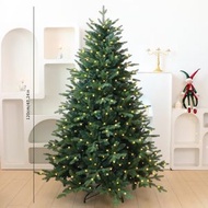 內地直送 - 多規格聖誕樹 場地佈置聖誕樹 加密PE混PVC 落地大聖誕樹 聖誕樹擺飾