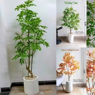 Fake tree, wisteria with 3 tops, 4 tops, 6 tops for home decoration