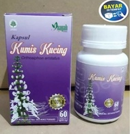 Kapsul Herbal kumis kucing inayah herbal batu ginjal kumis kucing hiu