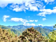 高東旅遊｜藍皮解憂.義大天悅.台東桂田.知本國家森林.六口溫泉.利稻部落.埡口雲海.高鐵回三日