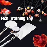 Betta Fish Training Toy Mirror Betta Fish Wooden Stick Exercise Mirror for Aquarium