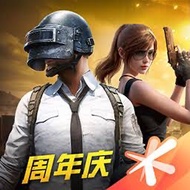 和平精英代打/陪玩/代充