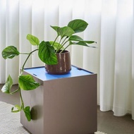 預購【021912】流行色可儲物邊几(藍) 置物箱 收納箱