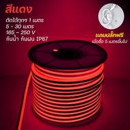 ไฟเส้น LED มี7สี LED Neon flex 220Vไฟเส้น 5-30เมตร ประดับตกแต่งแม้ในบ้าน หรือนอกบ้าน