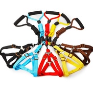 Thick Dog Harness Cat Y Harness Cat Lead Leash Dog Y Harness Animal Harness Y Harness Rabbit Harness
