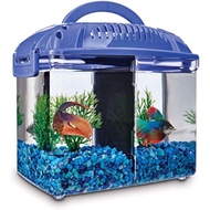 Malaysia Stock betta fish tank 0.8 gallon/bekas ikan laga aquarium betta fish akuarium fighting fish