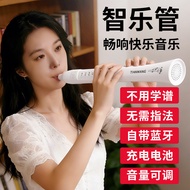 De Music Wind Zhile Wind Middle-aged Elderly Can Hum Songs Can Blow Electronic Blowing Wind Recharge