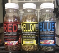 MAGGOT BLUE YELLOW RED PAKAN IKAN CHANNA