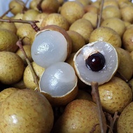 Lengkeng Bangkok super fresh Manis / kelengkeng  / buah kelengkeng / Lengkeng Bangkok premium