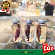 Minyak Kantil Merah / Bunga Kantil