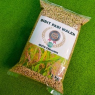 Ready Stock Bibit Padi Cepat Panen / Benih Padi Walen / Bibit Padi