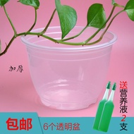 懒人花盆自动吸水盆套绿萝植物免浇水圆形塑料透明储水盆底座加厚