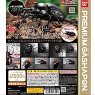 113.10 全新 現貨 萬代 生物大圖鑑 Premium 象兜蟲 與長戟大兜蟲 戰神大兜蟲 亞克提恩 可動模型 扭蛋