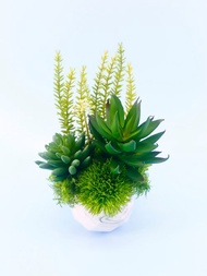 蘆薈多肉組合香氛植栽/擬真植物/人造盆栽/綠化/佈置/禮物