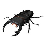 [全新, 內部膠袋未開封未使用, 跟原裝蛋殼蛋紙] Bandai 扭蛋 大蛋 昆蟲 生物 動物大圖鑑 鍬形蟲 part 2 (02) 巨型鍬甲 figure 1款