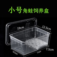 Small Amphibian Box Turtle Tank Climbing Ladder Rest Platform Breeding Box Aquatic and Terrestrial L