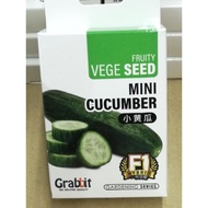 READY STOCK - Biji Benih Sayur Timun / Cucumber Vegetable Seeds