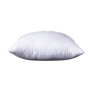 In Stock 30x50cm/40x40cm/45x45cm/50x50cm/55x55cm/60x60cm/65x65cm Square Pillow With Multiple Sizes C