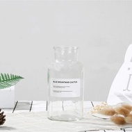 Aesthetic Glass Bottle Vases Flower Pot 500 ml - EN549