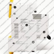 Schneider Acti9 Ic60H 2P 50A 10Ka A9F84250