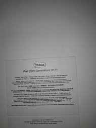 iPad 10 256GB