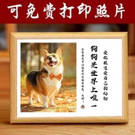 [Imprint] Pet Dog Cat Birthday Commemorative Photo Frame Table Home Decoration Photo Frame Photo Pri