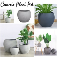 ⭐ CEMENT POT ⭐ Plant pot cement pot Flower pot Planter box outdoor big plant tree Fiber Glass Pot Concrete Large Pot