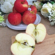 Buah Apel Royal Gala Apple per 1 Kg