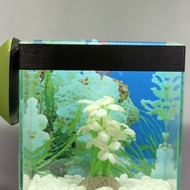 aquarium mini lengkap + ikan + lampu