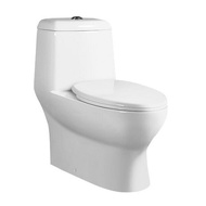 CASSANOVA 1106 ONE-PIECE WATER CLOSET (WHITE)