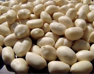 Kacang Tanah Kupas Super Terlaris Ukuran Besar 1 KG.