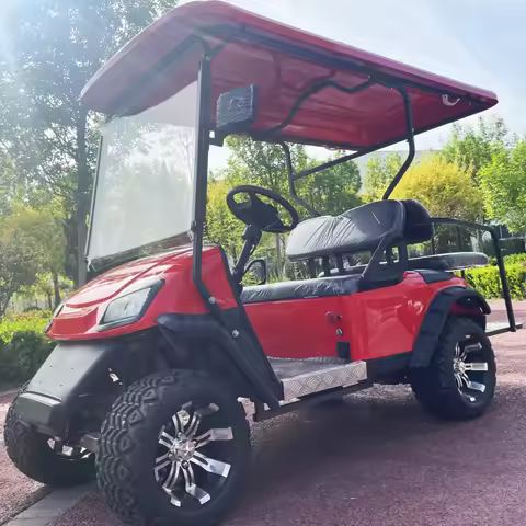 2025 New Energy 2 Seater Customized 7KW AC Motor 10 Inch Screen Has Enough Power And A Long Range Ne