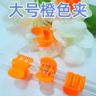 Bonsai shaper Six-Claw Large Orange Plant Decoration Clip Gardening Vines Climbing Vines Plant Shape