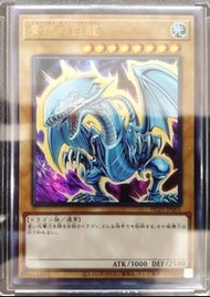 遊戲王 HC01-JP001 青眼白龍 【金亮】【SECRET】