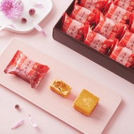 母親節/端午/送禮推薦【港記酥皇】港記正宗鳳梨酥20入禮盒