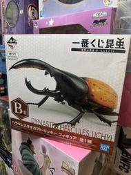 一番賞 昆蟲世界 B賞 亞克提恩長戟大兜蟲