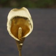 溪山手作 手工黃銅藝術馬蹄蓮黃銅髮簪飾品復古