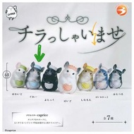 (現貨) 日本🇯🇵 Chinchilla 龍貓扭蛋