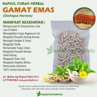 Kapsul Curah GAMAT EMAS 600 mg Anti Aging Kesuburuan Pria Kanker Luka