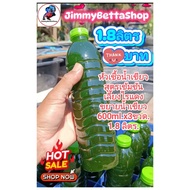 Green Water For Raising Red Mites Concentrate Concentrated Chlorella Seaweed​1.8​Liter Quality​Good​